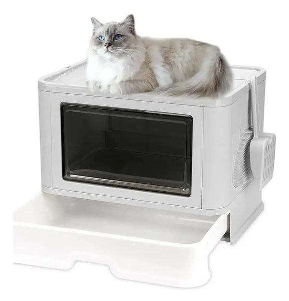 ARENERO PARA GATO