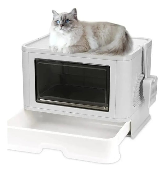 ARENERO PARA GATO